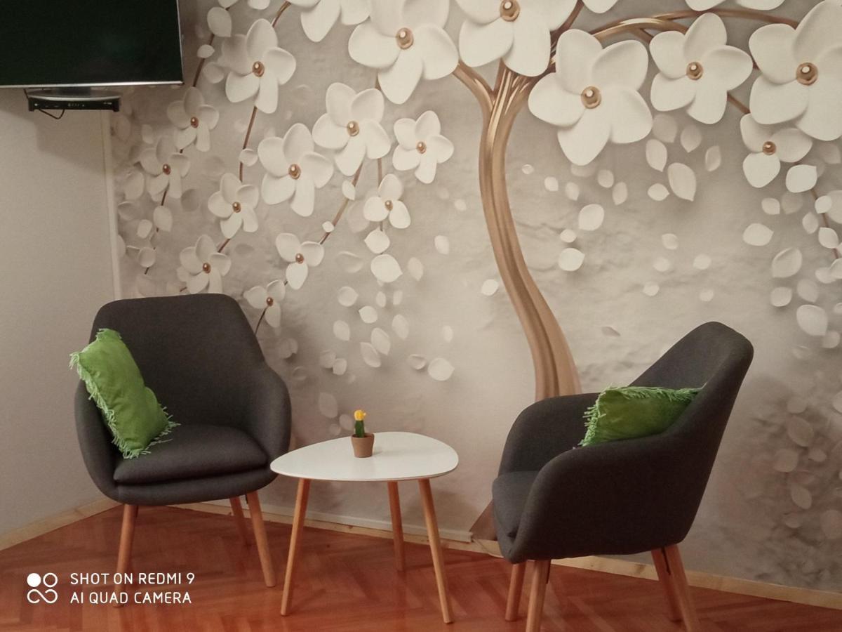 Studios Ana Mari Komiza Bilik gambar