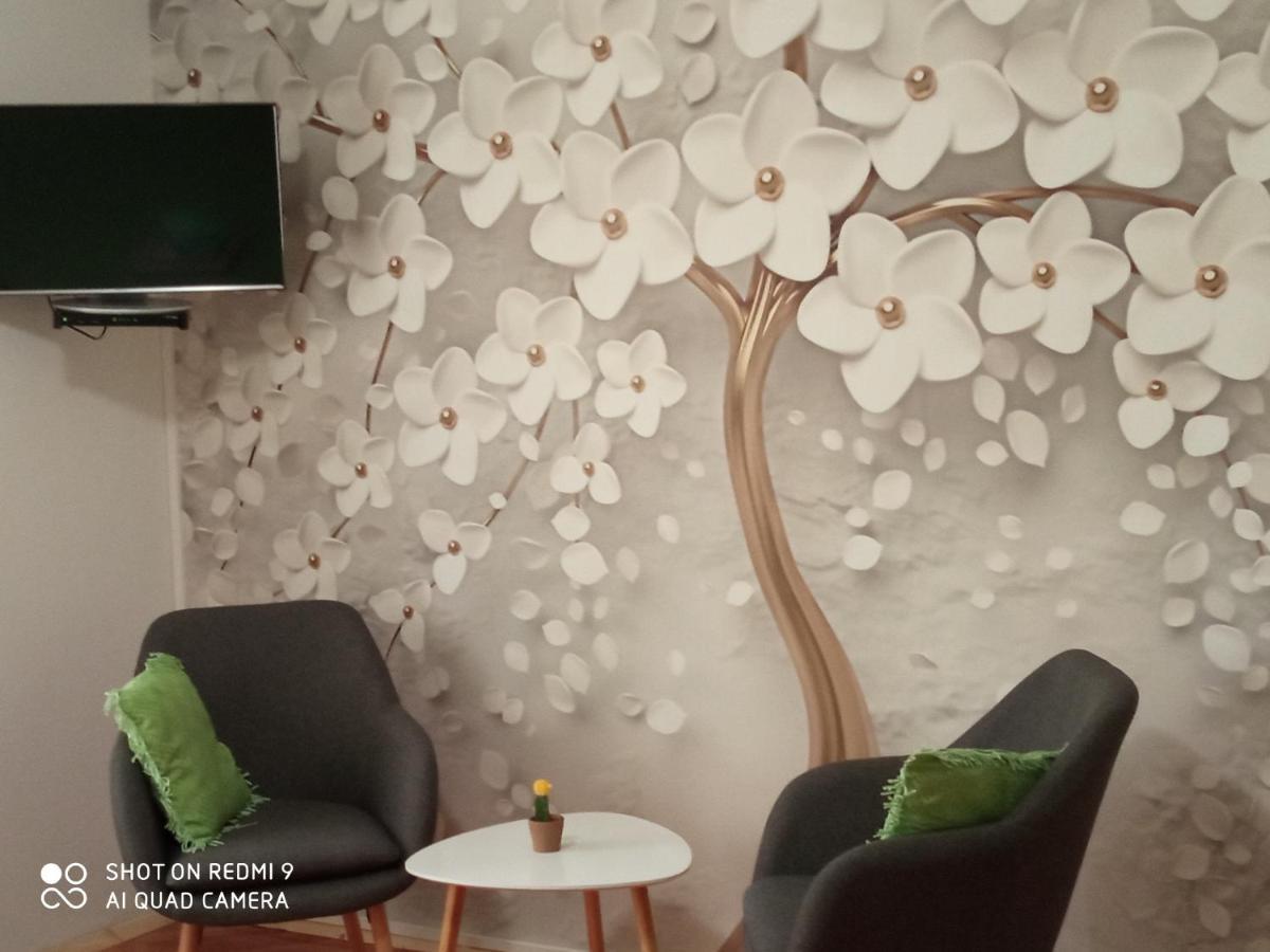 Studios Ana Mari Komiza Luaran gambar